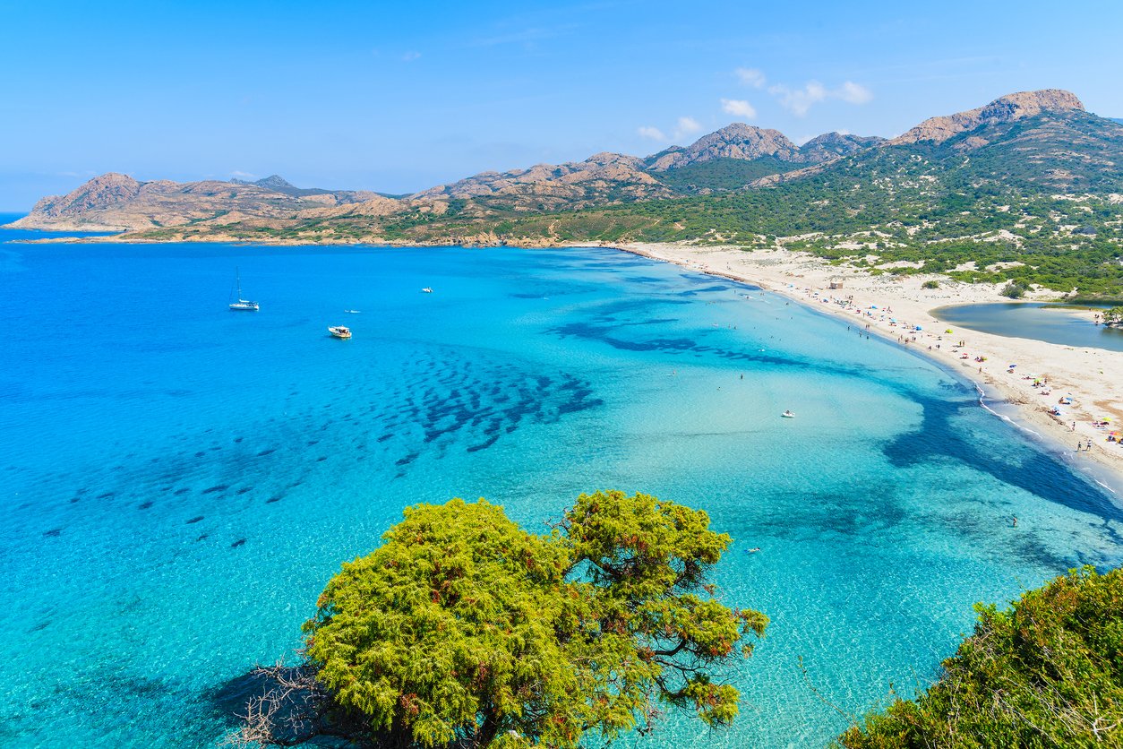 Plages de Calvi