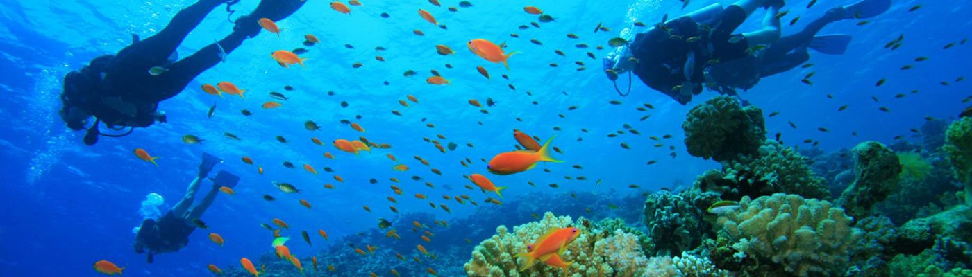 Activités Nautiques